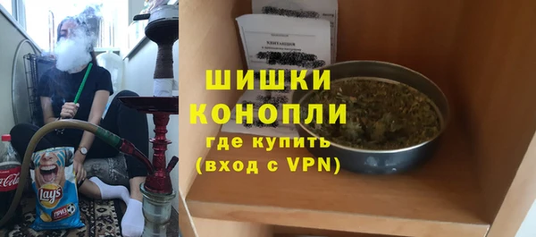 СК Пересвет