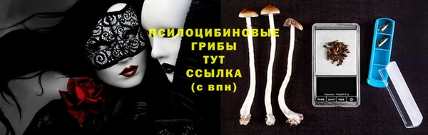 дмт Покров