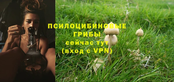 трава Покачи