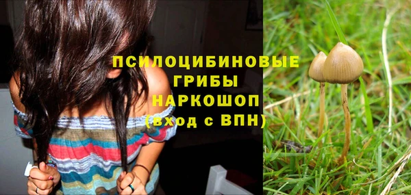 СК Пересвет