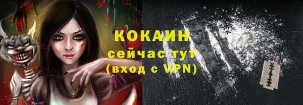 СК Пересвет