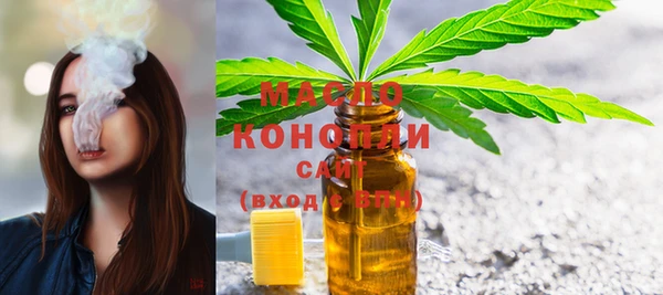 дмт Пестово
