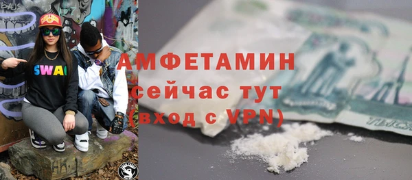 СК Пересвет