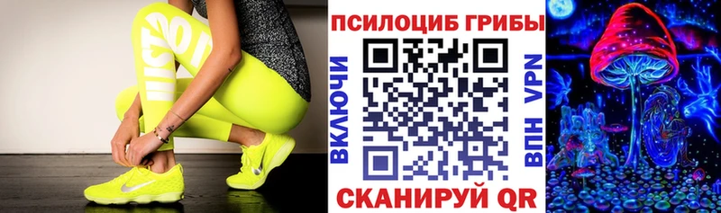 Псилоцибиновые грибы прущие грибы  Владикавказ 