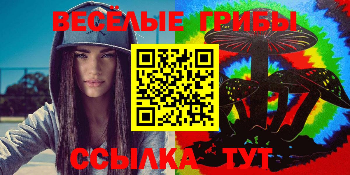 Галлюциногенные грибы Psilocybe  Вход с VPN  Владикавказ 