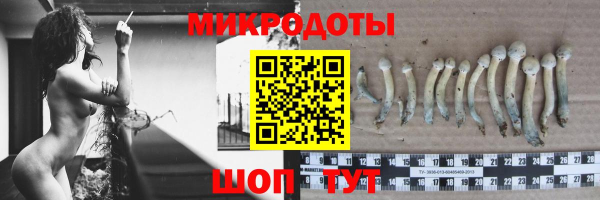 Псилоцибиновые грибы Magic Shrooms Владикавказ